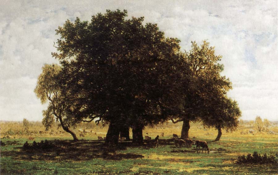 Oak Trees near Apremont